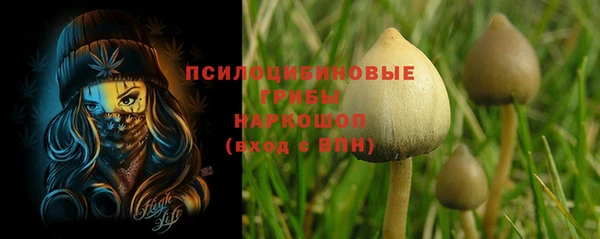 гидропоника Абдулино
