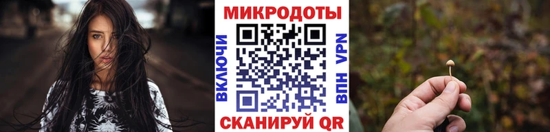 Галлюциногенные грибы Psilocybe  дарнет шоп  Усть-Катав 